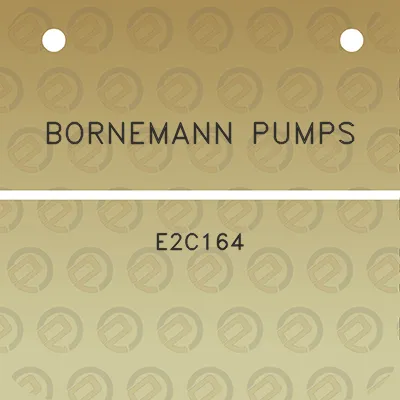 bornemann-pumps-e2c164