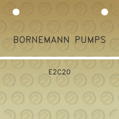 bornemann-pumps-e2c20