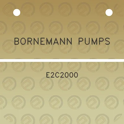 bornemann-pumps-e2c2000