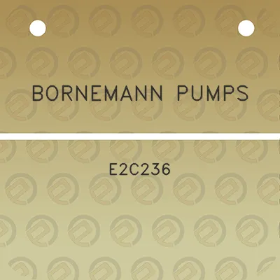 bornemann-pumps-e2c236