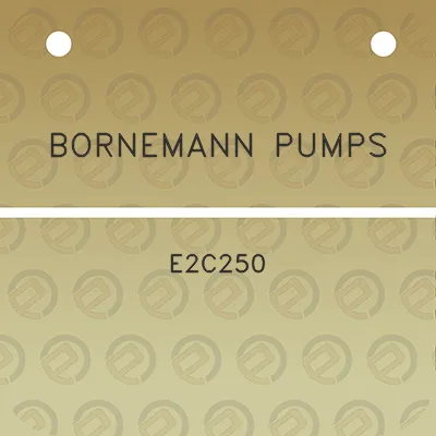 bornemann-pumps-e2c250