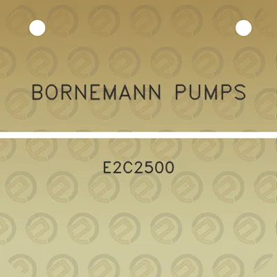 bornemann-pumps-e2c2500