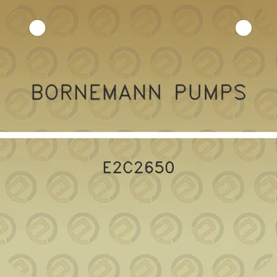 bornemann-pumps-e2c2650