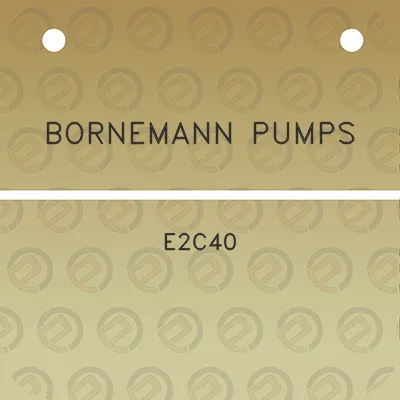 bornemann-pumps-e2c40