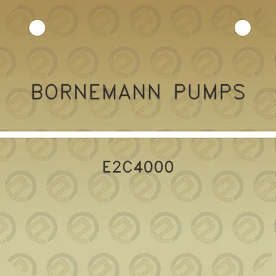 bornemann-pumps-e2c4000