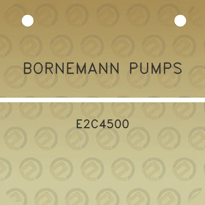 bornemann-pumps-e2c4500