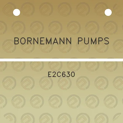 bornemann-pumps-e2c630