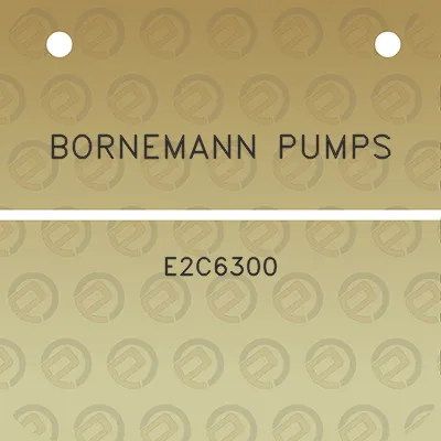 bornemann-pumps-e2c6300