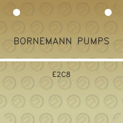 bornemann-pumps-e2c8