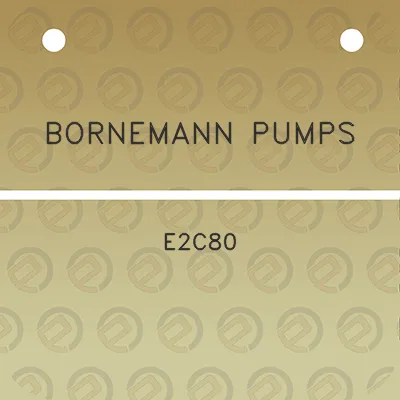 bornemann-pumps-e2c80