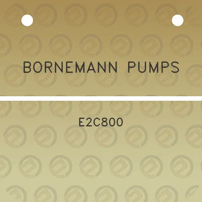 bornemann-pumps-e2c800