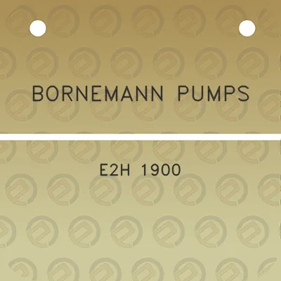 bornemann-pumps-e2h-1900