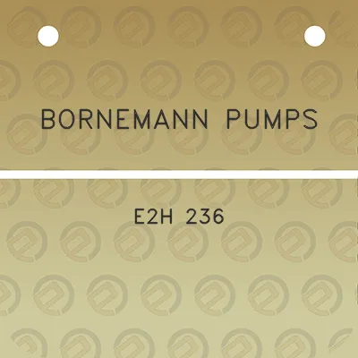 bornemann-pumps-e2h-236