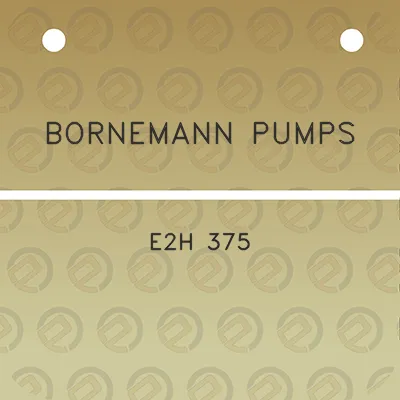 bornemann-pumps-e2h-375