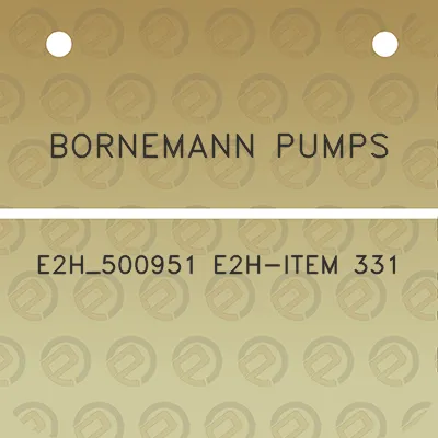 bornemann-pumps-e2h_500951-e2h-item-331