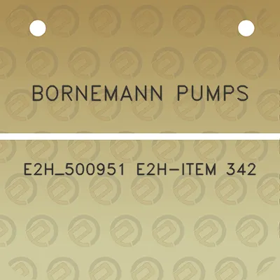 bornemann-pumps-e2h_500951-e2h-item-342