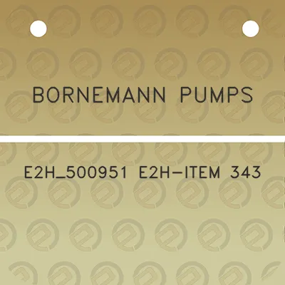 bornemann-pumps-e2h_500951-e2h-item-343