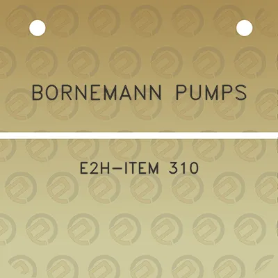 bornemann-pumps-e2h-item-310