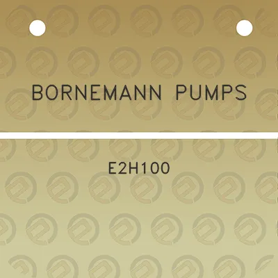 bornemann-pumps-e2h100