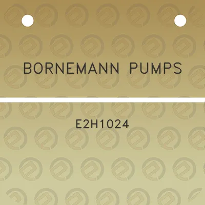 bornemann-pumps-e2h1024