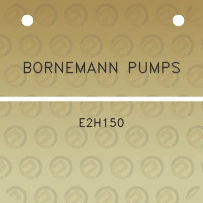 bornemann-pumps-e2h150