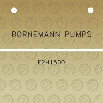 bornemann-pumps-e2h1500