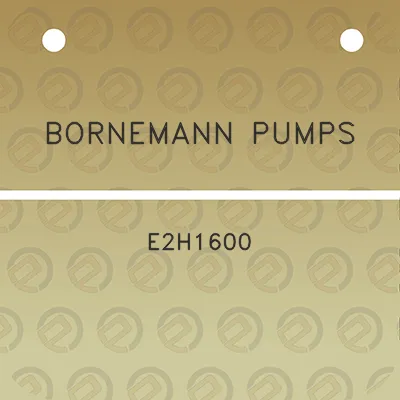 bornemann-pumps-e2h1600