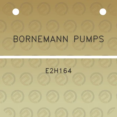 bornemann-pumps-e2h164