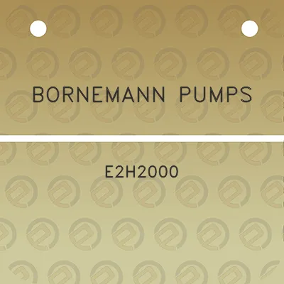 bornemann-pumps-e2h2000