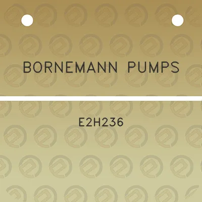 bornemann-pumps-e2h236