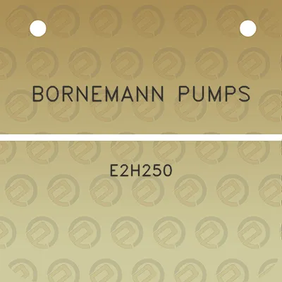 bornemann-pumps-e2h250