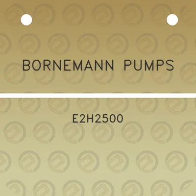 bornemann-pumps-e2h2500