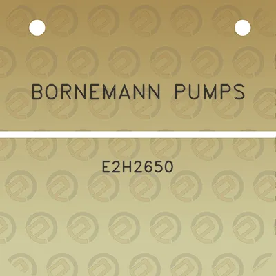 bornemann-pumps-e2h2650