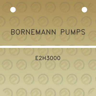 bornemann-pumps-e2h3000