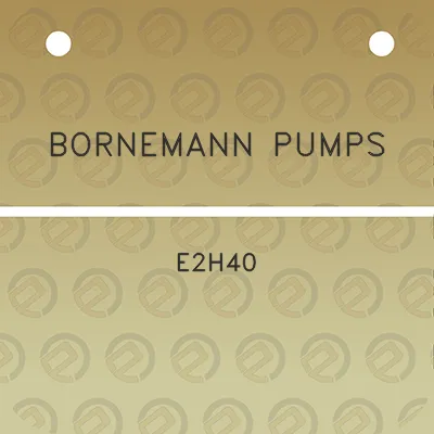 bornemann-pumps-e2h40