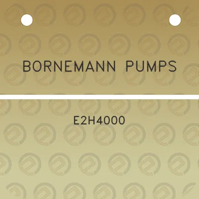 bornemann-pumps-e2h4000