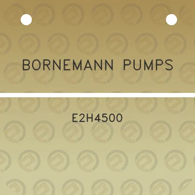 bornemann-pumps-e2h4500