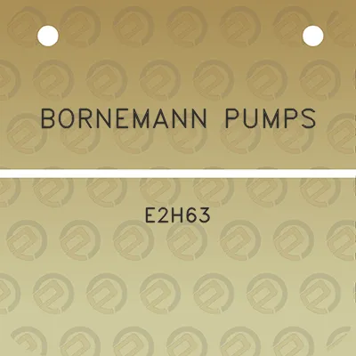 bornemann-pumps-e2h63