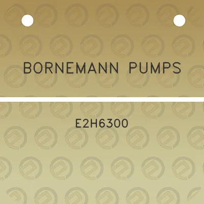 bornemann-pumps-e2h6300