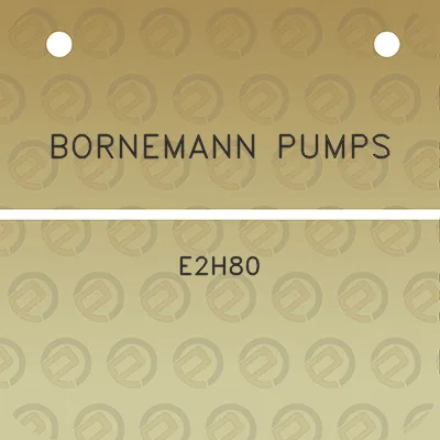 bornemann-pumps-e2h80