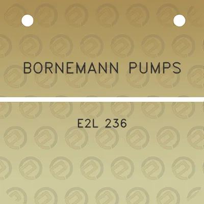 bornemann-pumps-e2l-236