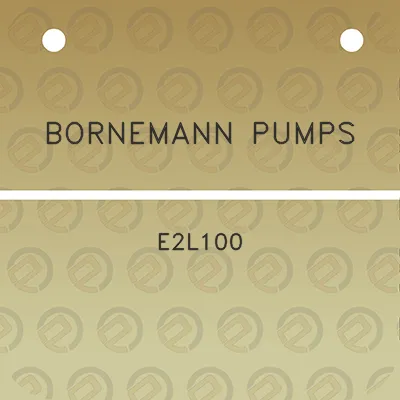 bornemann-pumps-e2l100