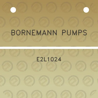 bornemann-pumps-e2l1024