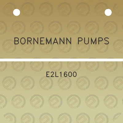 bornemann-pumps-e2l1600