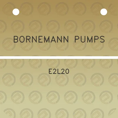 bornemann-pumps-e2l20