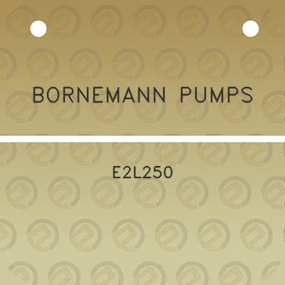 bornemann-pumps-e2l250