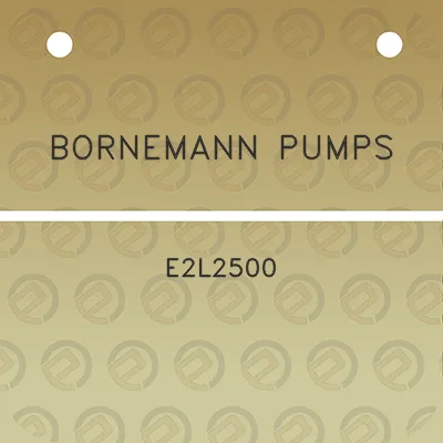 bornemann-pumps-e2l2500