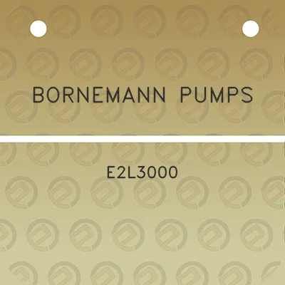 bornemann-pumps-e2l3000