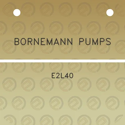 bornemann-pumps-e2l40