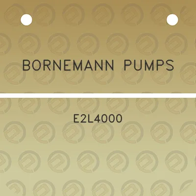 bornemann-pumps-e2l4000